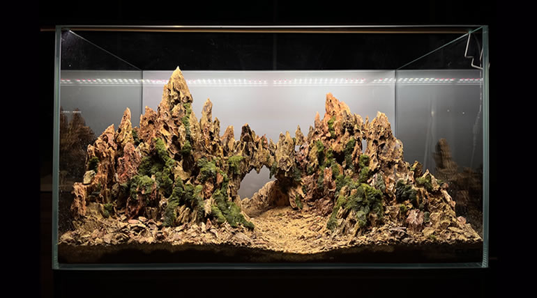 Dragon Stone Ohko Taşı - Görsel 3